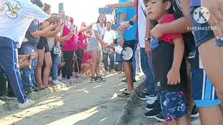 #pawikan #curma #launionbeach  Malaking pawikan pinakawalan sa La Union beach (Curma)