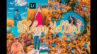 Golden Yellow Preset | Lightroom Mobile Tutorial 2020 | Free DNG | Kjohn Editz