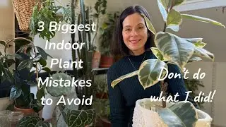 3 Biggest Indoor Plant Mistakes to Avoid 🌱 Don&rsquo;t Do What I Did 🌱