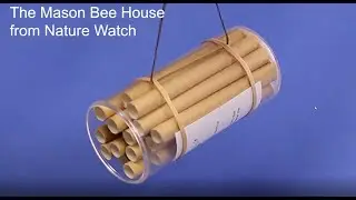 Make a Mason Bee House
