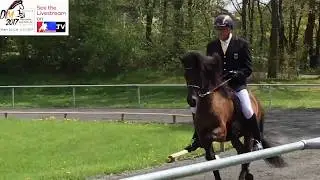 T&ouml;lt T1 Uli Reber V&aacute;g fr&aacute; H&ouml;f&eth;abakka IS2006255355 @ Qualitag Lipperthof 2017