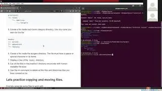 Tutoring Session 1 Managing files and directories