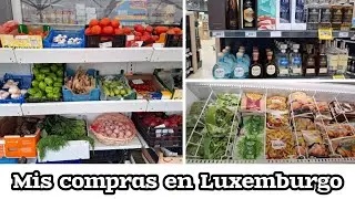 👉Mis compras en Luxemburgo🇱🇺/Mercado, congelados y bebidas.