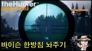 [더헌터/Thehunter] 바이슨에게 한방침 놔주기(석궁사냥)