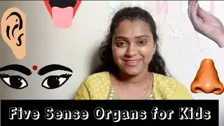 Five Sense Organs | Learn Human Sense Organs | Educational Video For Kids | Easy learning for kids