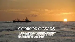 The Areas Beyond National Jurisdiction Program (ABNJ)