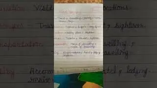 Travel related synonyms #shorts #youtubeshorts