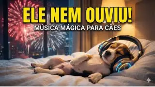 🧱 Parede Sonora: Isole seu Cachorro da Agita&ccedil;&atilde;o e Barulho Externo 🔇