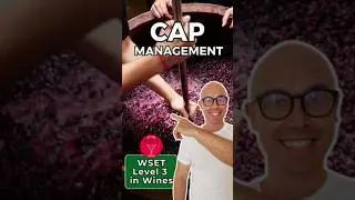 4 Cap Management Techniques Every Wine Student Must Know | WSET L3 in Wines  #WSETLevel3 #winemaking