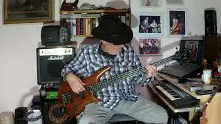 Schickeria, Spider Murphy Gang Bass Cover