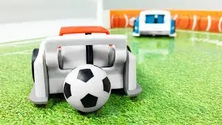 Robotic Soccer Tournament