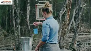 Rethinking Sustainability in Flinders Island Eco-Comfort Camps