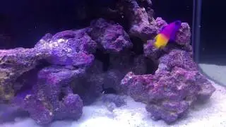 Fluval M90 #8 System Overview