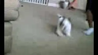 Video from My Phone (08-28-06_1358.3gp)