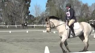 Cossie CNC95 Dressage