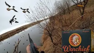 River DUCK Hunting GOLDENEYE! Does BOSS Shotshells Hit Harder?