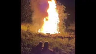 Купала (UDIO beta)