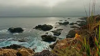Rocky Cliffside Pacific Ocean View w Seagull & other Bird Sounds - Garrapata SP, Big Sur, CA (CAM#2)