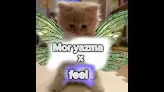 mor yazma x feel