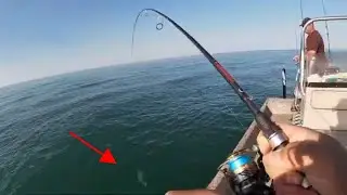 Trolling for King Mackerel When things got CRAZY!