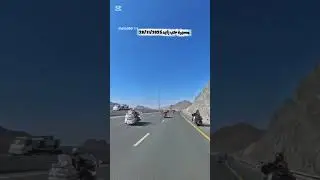 مسيرة حب زايد 28/11/2025