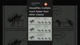 Daily Top Reddit Posts #100. 03/26/22. Top post in r/technicallythetruth.