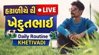 હડાળીએ થી લાઈવ | ખેડૂતભાઈ ની daily routine નોકરી | KHETIVADI Live Farming