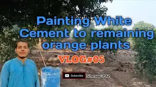  Fields #likes #vlog#viralvideo #minivlog #punjab #hardwork #greenplants#villagelife #villagevlog 