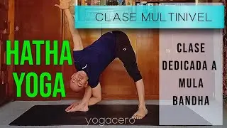 Multi-level yoga class. Dedicated to mula bandha. 171125