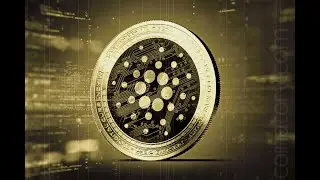 Cardano Investors In Japan Come Under Fire For $6 Million In