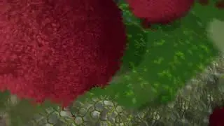 Battlethorne: Reckoning
