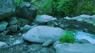 Mellow Mountain River for Wellness and Reading Focus