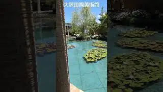 モネの大睡蓮　大塚国際美術館