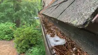 The Hidden Dangers of Clogged Gutters (Shocking!)