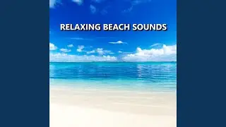 Masterful Waterfront Ocean Sounds