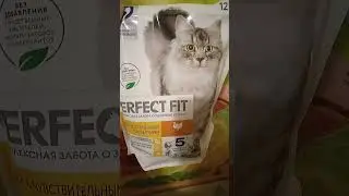 Сухой корм для кошек 