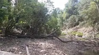 Agate fossicking in NSW Australia #2