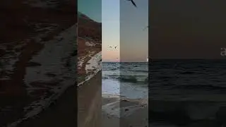 Collection of Motivational Words in video_13 #motivation #famouswords #inspirationalquotes #quotes