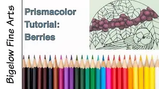 Prismacolor Tutorial Color Along - Birds pt 8: Amethyst Berries