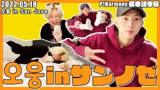 【P1Harmony】テオとジウンの最終公演前夜【日本語字幕】