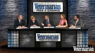 Questionnaires to Assess Pain in Companion Animals