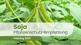 Sojabohnenanbauer: Macht ihr diese fatalen Pflanzenschutzfehler? | Soja 2025