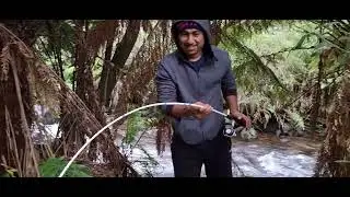 Fishing trout fresh water in the creeks victoria melbourne.