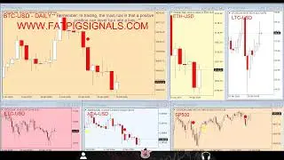 Fat Pig Signals Bitcoin Live Trading