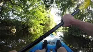 Paddling down the river mole near Dorking