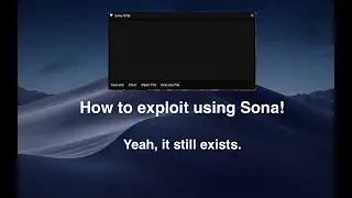Sona ONE | LEVEL 7 - SAVEINSTANCE & OWLHUB - INTERNAL - BEST FREE EXPLOIT