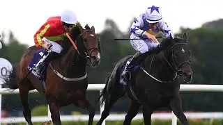 GREEN IMPACT set for Irish Derby following Leopardstown win