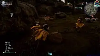 #EnVicio: Final Fantasy XV - A jugar con Chocobos