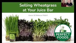 Selling Wheatgrass At Your Juice Bar in 2022