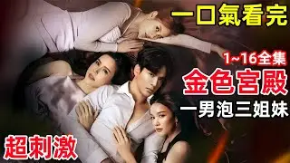 男海王引誘三姐妹，只為家族復仇，一口氣看完【金色宮殿】1~16集完整版，2024狗血大尺度熱播泰劇